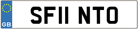 Trailer License Plate